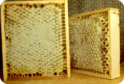Купить мед в сотах в Казани